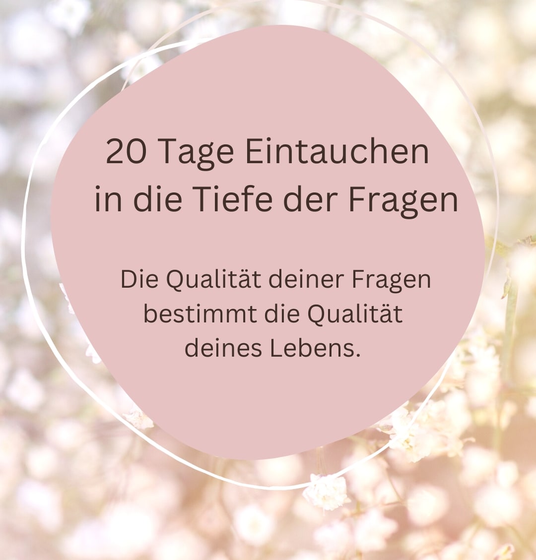 20 Tage Programm